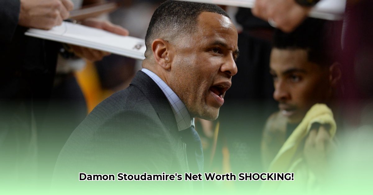 damon-stoudamire-net-worth